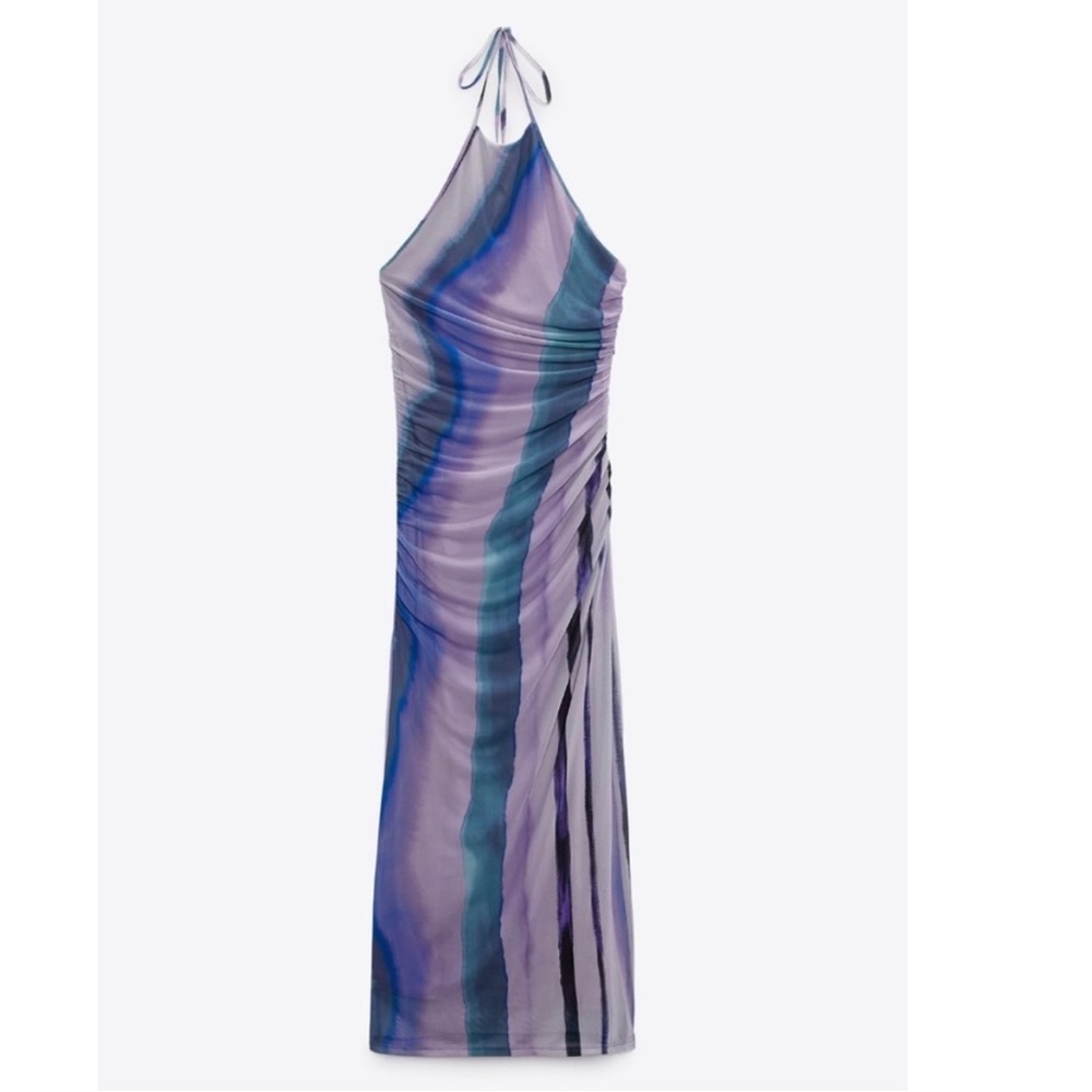 Zara Printed Tulle Midi Dress